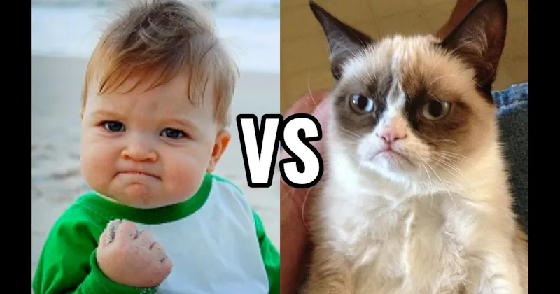 Grumpy Cat vs. Success Kid