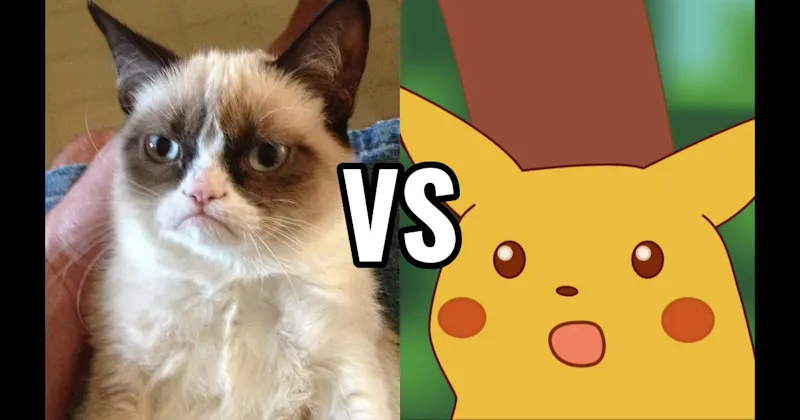 Grumpy Cat vs. Surprised Pikachu
