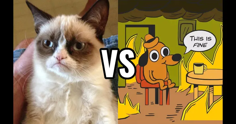 Grumpy Cat vs. This is Fine Dog