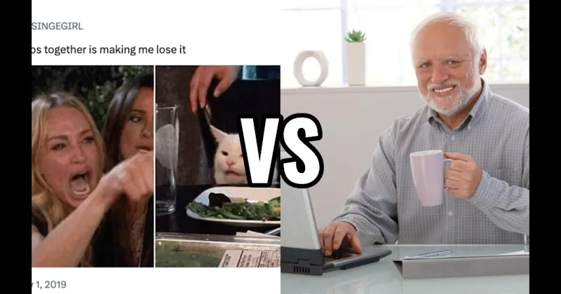 Hide the Pain Harold vs. Woman Yelling at a Cat