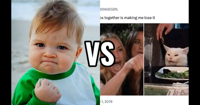Success Kid vs. Woman Yelling at a Cat