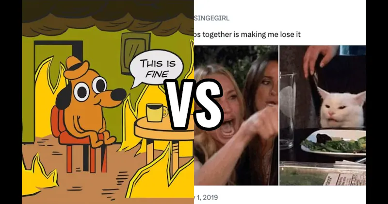 This is Fine Dog vs. Woman Yelling at a Cat