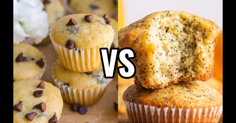 Chocolate Chip Muffin vs. Lemon Poppy Seed Muffin