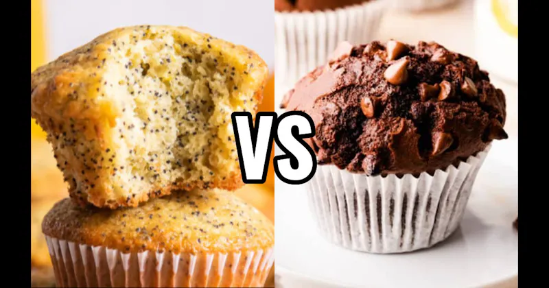 Double Chocolate Muffin vs. Lemon Poppy Seed Muffin