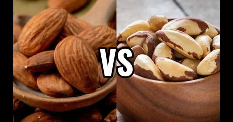 Almonds vs. Brazil Nuts