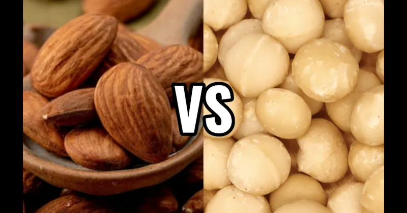 Almonds vs. Macadamias