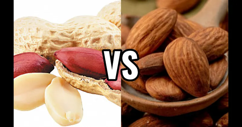 Almonds vs. Peanuts