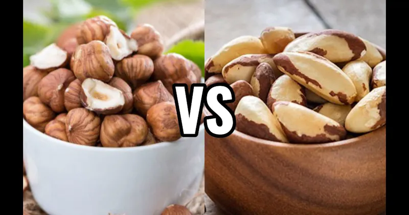 Brazil Nuts vs. Hazelnuts