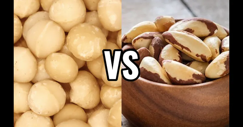 Brazil Nuts vs. Macadamias