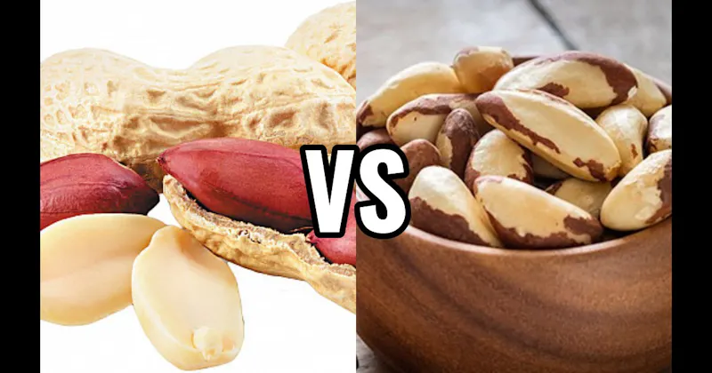 Brazil Nuts vs. Peanuts
