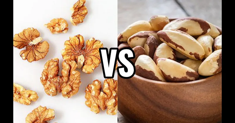 Brazil Nuts vs. Walnuts
