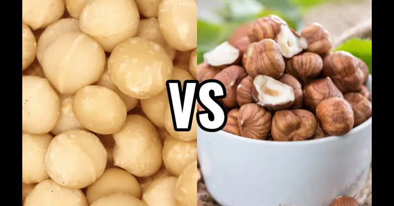 Hazelnuts vs. Macadamias
