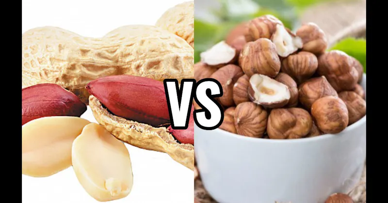 Hazelnuts vs. Peanuts