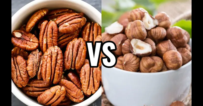 Hazelnuts vs. Pecans