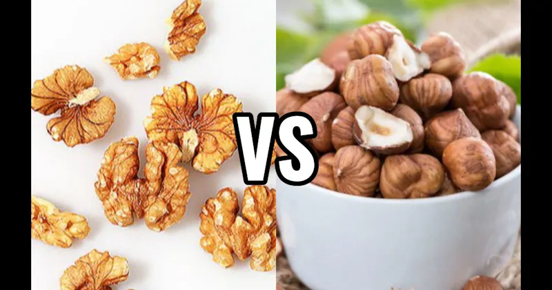 Hazelnuts vs. Walnuts