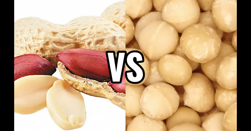 Macadamias vs. Peanuts