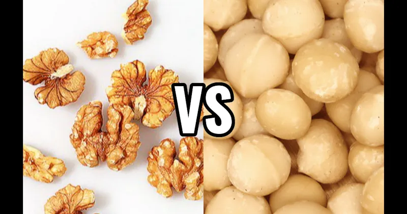 Macadamias vs. Walnuts