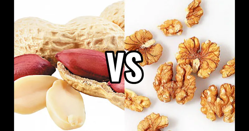 Peanuts vs. Walnuts