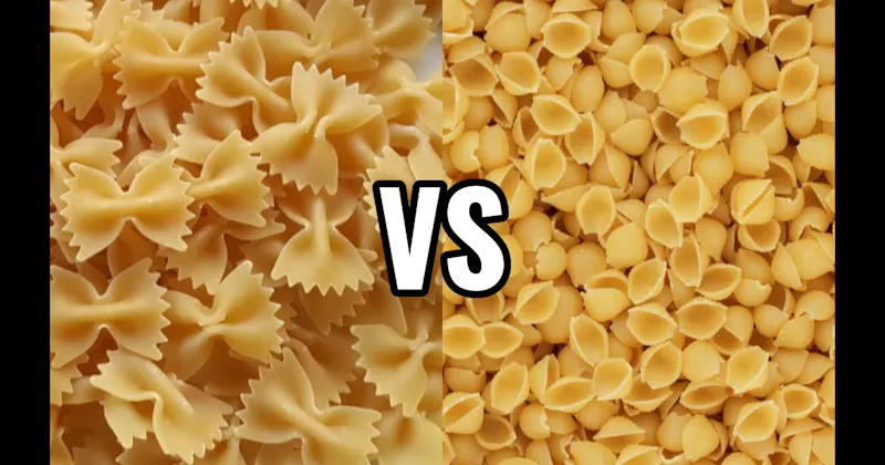 Conchiglie vs. Farfalle