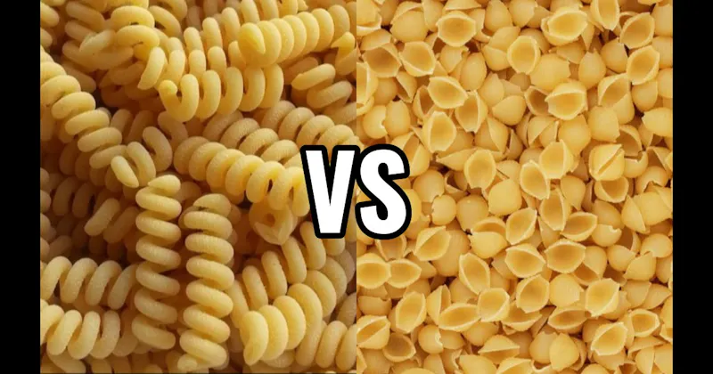 Conchiglie vs. Fusilli