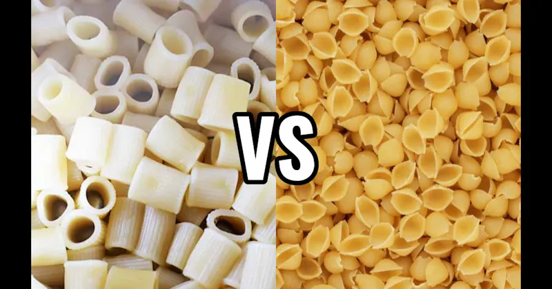 Conchiglie vs. Rigatoni