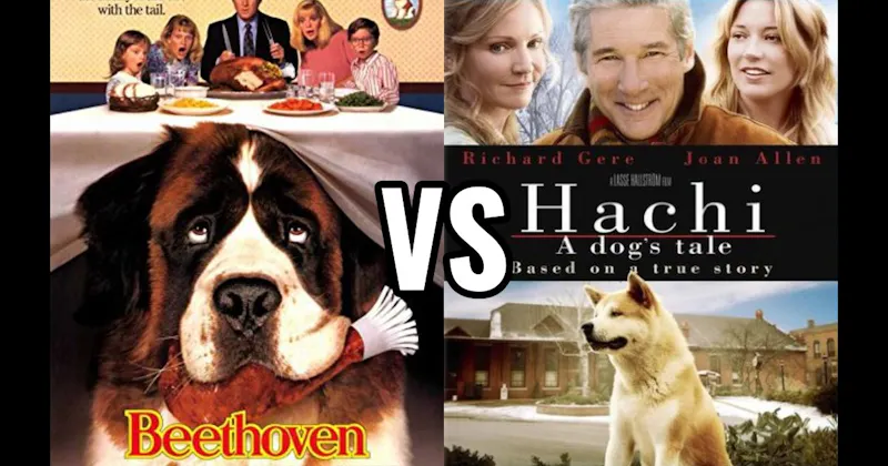 Beethoven vs. Hachi: A Dog’s Tale