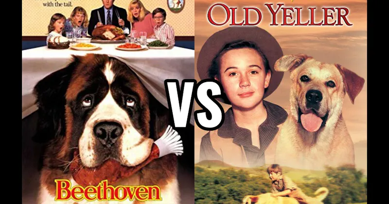 Beethoven vs. Old Yeller