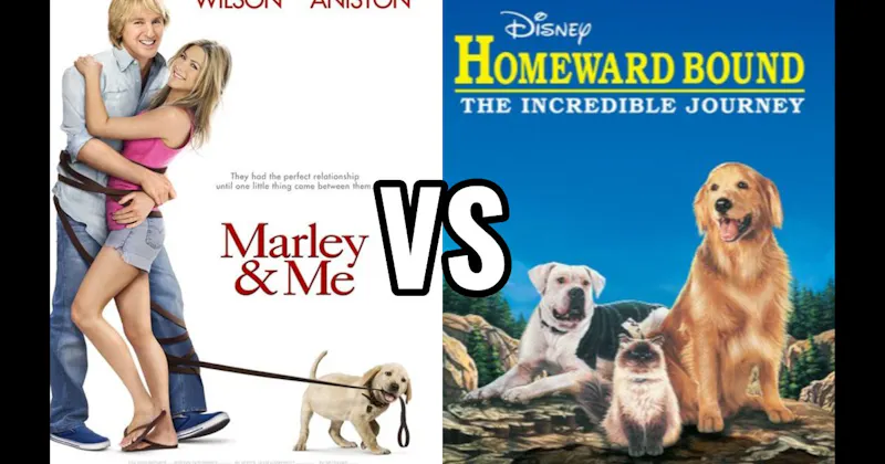 Homeward Bound: The Incredible Journey vs. Marley & Me
