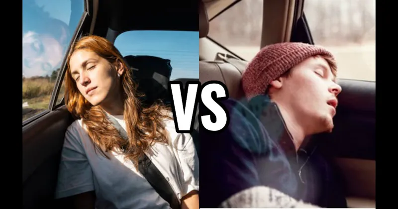Backseat of a Car vs. Car Passenger Seat