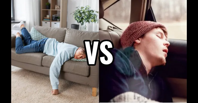 Backseat of a Car vs. Couch