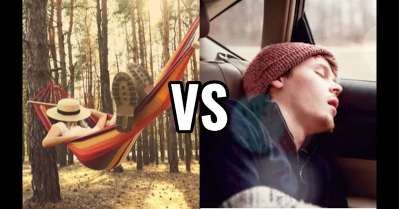 Backseat of a Car vs. Hammock