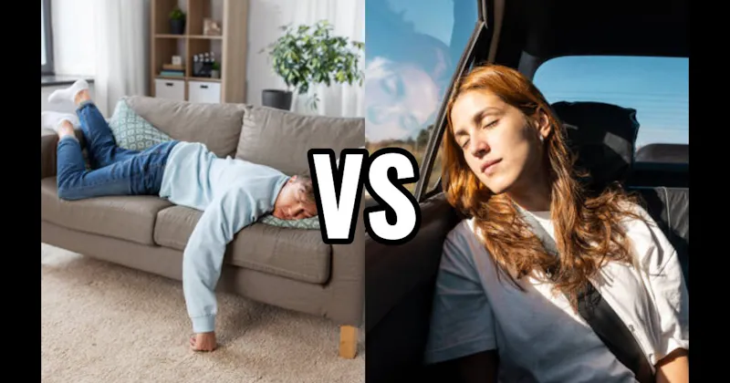 Car Passenger Seat vs. Couch