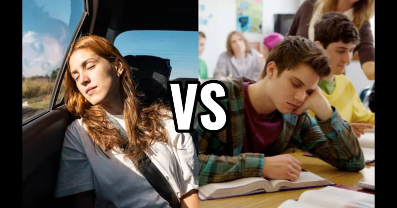 Car Passenger Seat vs. In Class