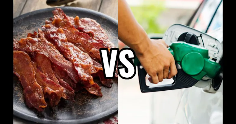 Bacon Cooking vs. Gasoline