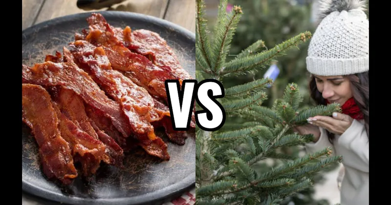 Bacon Cooking vs. Pine / Christmas Tree