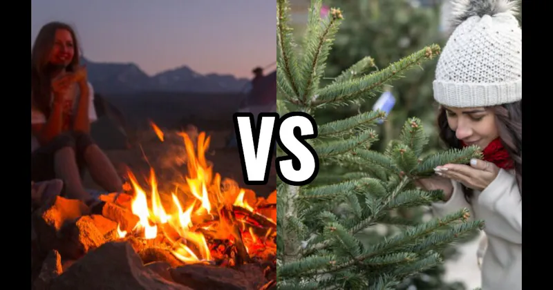 Campfire Smoke vs. Pine / Christmas Tree