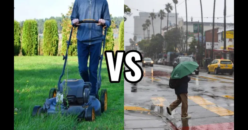 Freshly Cut Grass vs. Rain on Dry Pavement