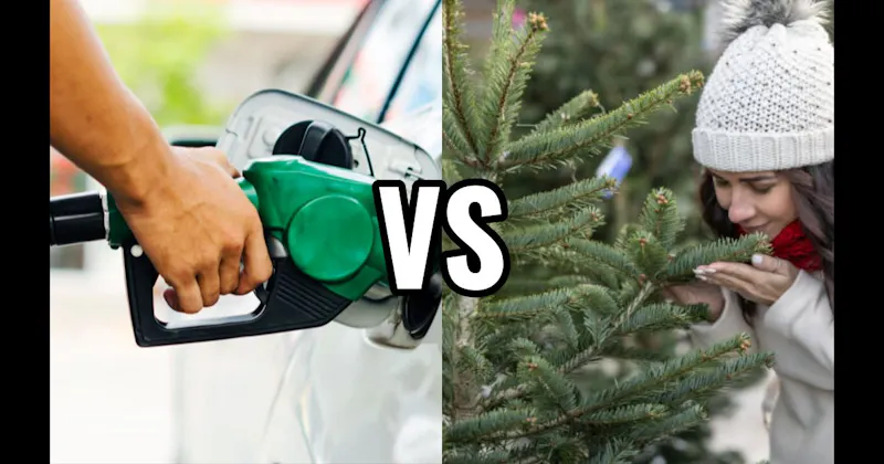 Gasoline vs. Pine / Christmas Tree