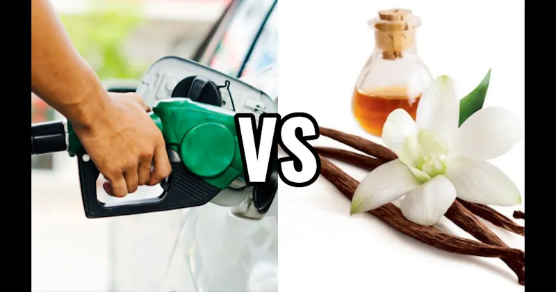 Gasoline vs. Vanilla