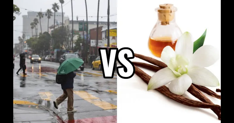 Rain on Dry Pavement vs. Vanilla