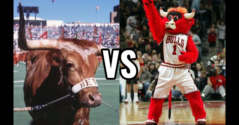Benny the Bull (Chicago Bulls) vs. Bevo (Texas Longhorns)