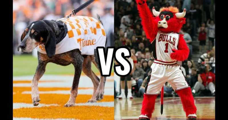 Benny the Bull (Chicago Bulls) vs. Smokey (Tennessee Volunteers)