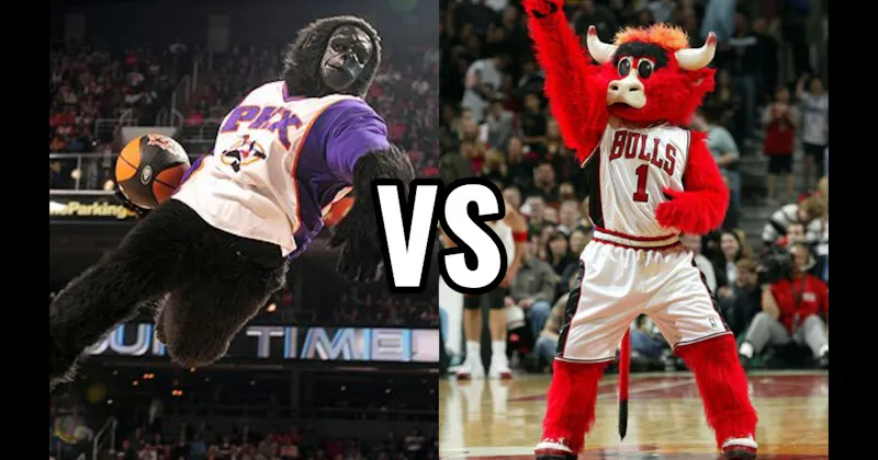 Benny the Bull (Chicago Bulls) vs. The Suns Gorilla (Phoenix Suns)