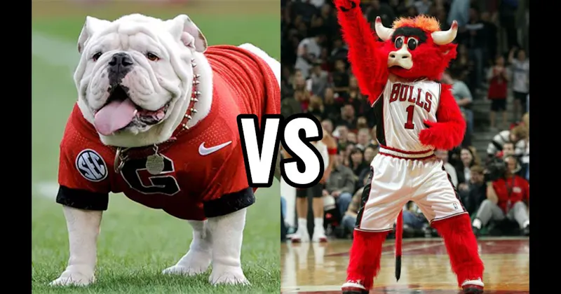 Benny the Bull (Chicago Bulls) vs. Uga (Georgia Bulldogs)