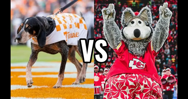 KC Wolf (Kansas City Chiefs) vs. Smokey (Tennessee Volunteers)