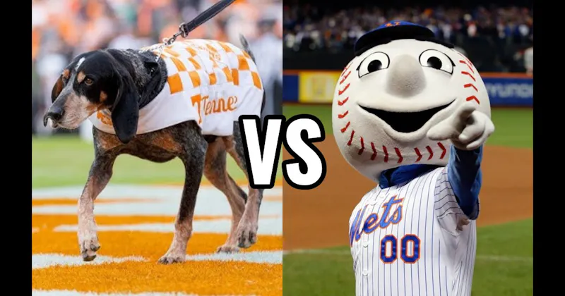 Mr. Met (New York Mets) vs. Smokey (Tennessee Volunteers)
