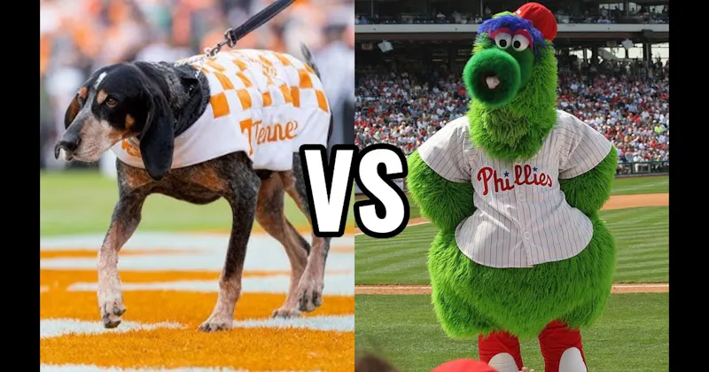 Phillie Phanatic (Philadelphia Phillies) vs. Smokey (Tennessee Volunteers)