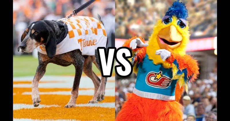 Smokey (Tennessee Volunteers) vs. The San Diego Chicken