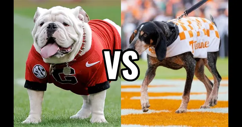 Smokey (Tennessee Volunteers) vs. Uga (Georgia Bulldogs)