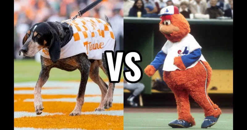 Smokey (Tennessee Volunteers) vs. Youppi! (Montreal Canadiens / Expos)